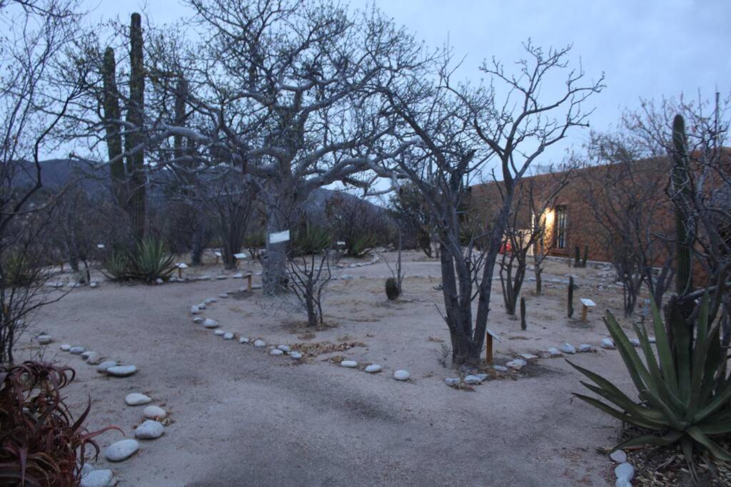 拉巴斯Rancho Campestre El Ancon别墅 外观 照片