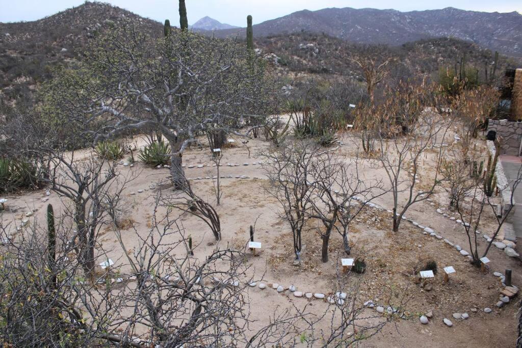 拉巴斯Rancho Campestre El Ancon别墅 外观 照片